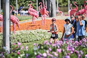 BIB: 
                            <button type="button" onclick="openModal(27793973)" class="btn btn-primary btn-sm float-right btn-popup" data-toggle="modal" data-target=".modal-high-quality">
                        <i class="fas fa-shopping-cart"></i> Add to Cart
                    </button>
                                            <button type="button" onclick="isThisMe(27793973, true)" class="btn btn-success btn-sm float-right btn-popup btn-isme hidden" data-toggle="tooltip" data-placement="bottom" title="นี่คือรูปของคุณใช่ไหม คลิกที่นี่เพื่อเอาเข้าอัลบั้ม">
                        <i class="fas fa-plus"></i> Add to album
                    </button>
                    <button type="button" onclick="isThisMe(27793973, false)" class="btn btn-warning btn-sm float-right btn-popup btn-isnotme hidden">
                        <i class="fas fa-ban"></i> Remove from album
                    </button>